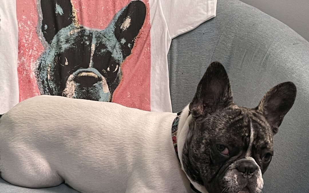 Santa Came to BaySix Early! Check Out Our New Equipment