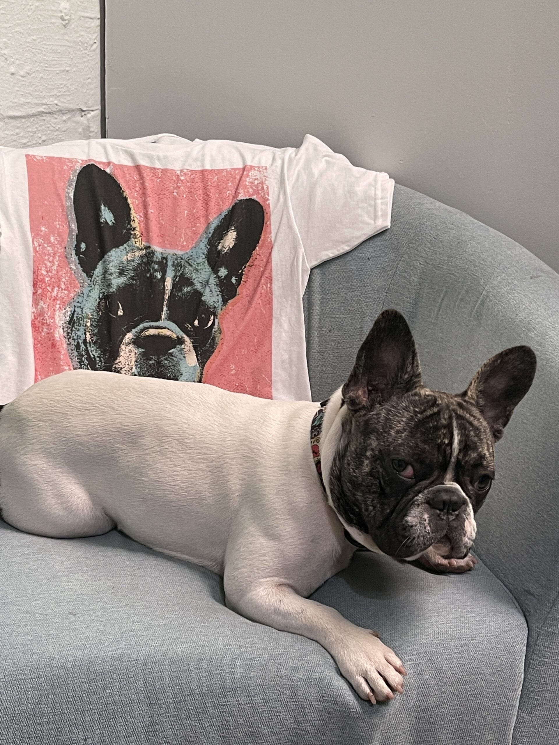 Santa Came to BaySix Early! Check Out Our New Equipment