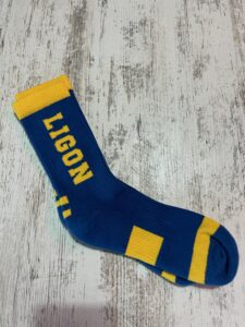 BaySix Tailgate School Spirit